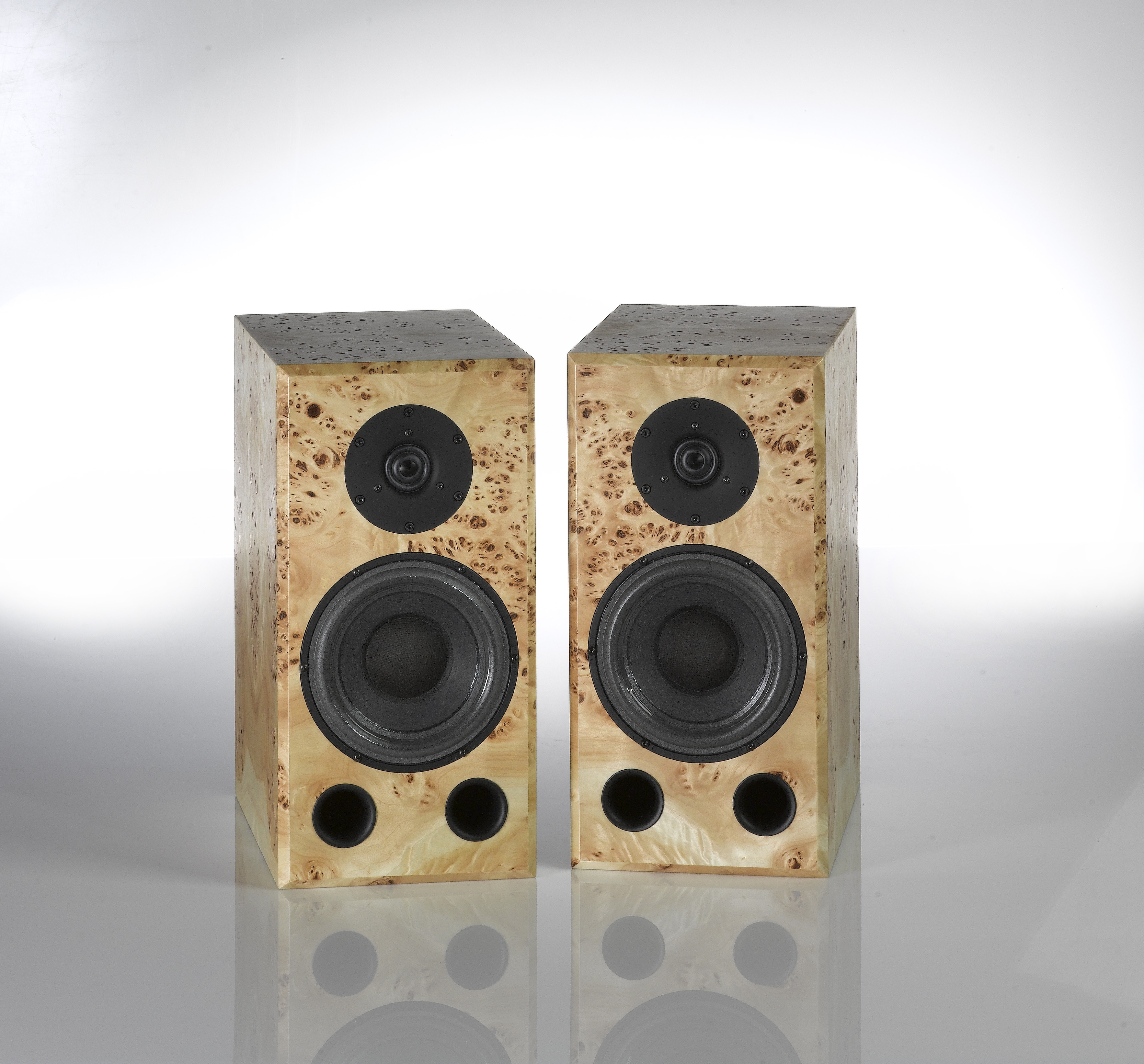 Valeur Audio Micropoint 2 SE High-End-Kompaktlautsprecher